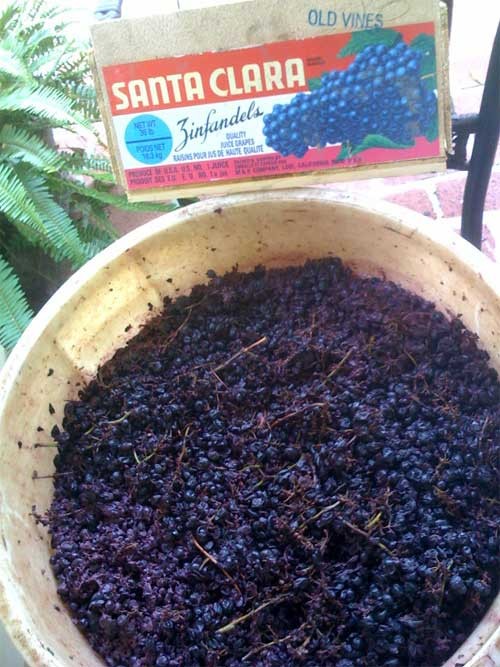 My Purple Passion: Making Old Vine Zin